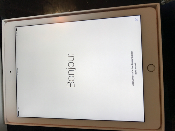 iPad Pro 9.7インチ 32GB ローズゴールド SIMフリー版 Apple iPad Pro