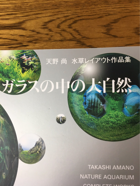 本 NATURE AQUARIUM WORLD 天野尚 ガラスの中の大自然
