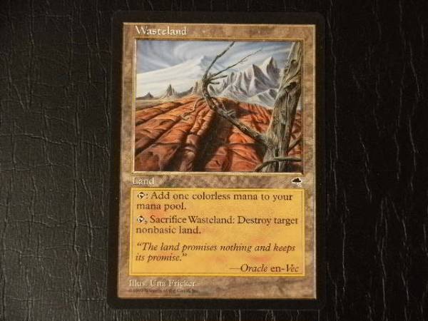 ☆MTG・英語版・テンペスト・不毛の大地！ | MIKAS-HUNDEPHYSIO.DE