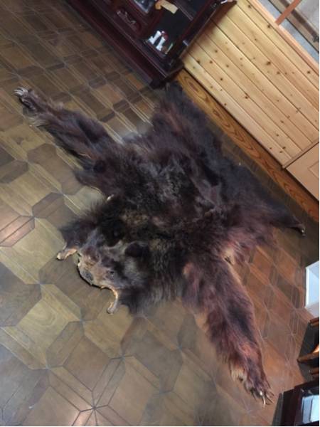 ヒグマ 熊の毛皮カーペット 床 熊 剥製 敷物 毛皮 ラグ ラグマット