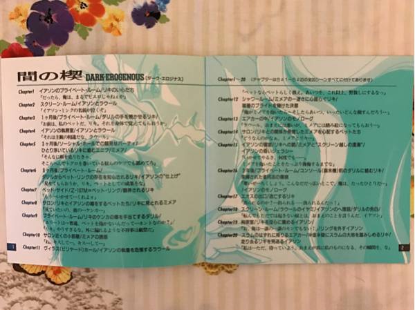 吉原理恵子 間の楔 DARK EROGENOUS 塩沢兼人 間の楔 AI・NO・KUSABI DARK-EROGENOUS 塩沢兼人 吉原理恵子