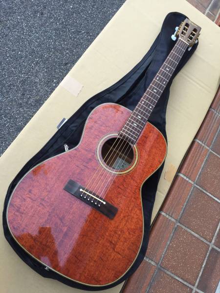 タカミネ　Takamine PT-406