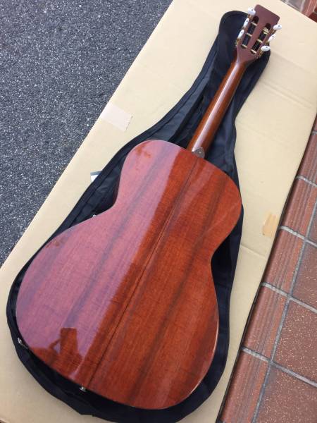 タカミネ　Takamine PT-406
