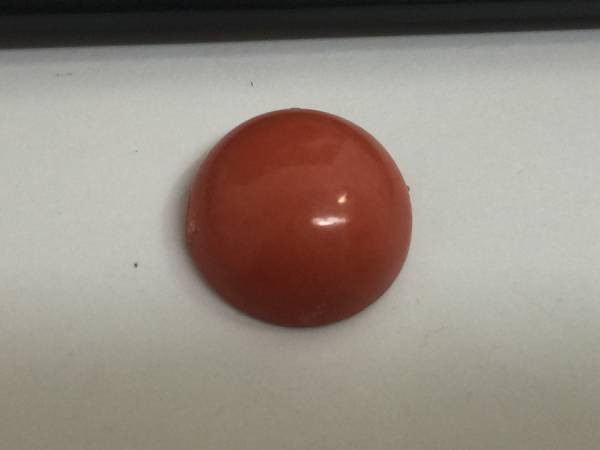 天然珊瑚　本サンゴ　裸石　玉直径約14.6mm