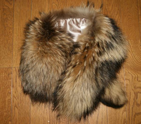 マフラー 狸　美品　リアルファー