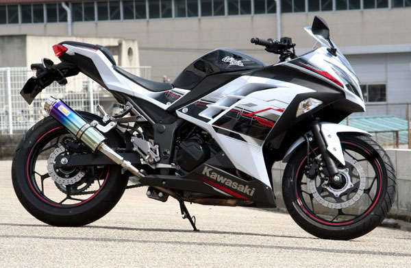 セール■Realize 　Ninja250（EX250L)　 Aria チタン TypeS　