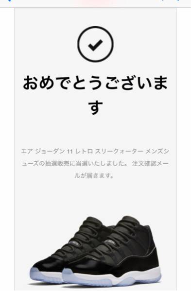 当選☆AIR JORDAN 11 RETRO SPACE JAM スペースジャム 26.5