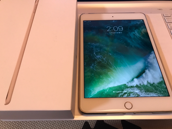 mini iPad au PAY Apple 本体のみの通販はau iPadmini4 ゴールド128GB 