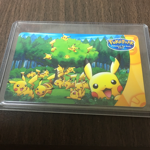[新品未使用品] ピカチュウの森 Edyカード ポケモン ポケパーク