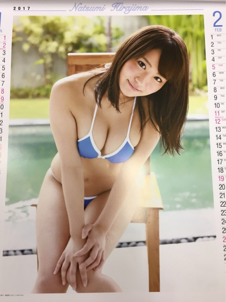 非売品 2017 カレンダー 平嶋夏海 グラビア アイドル 水着(芸能人