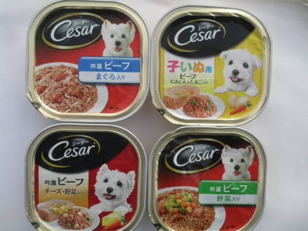 100円★シーザー子犬用&他各種★計43個★ろ21