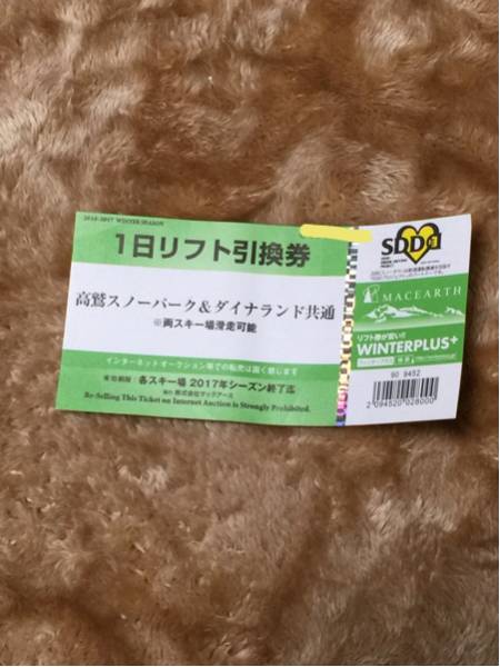 高鷲スノーパーク リフト券5枚組 高鷲スノーパーク＆ダイナランド共通