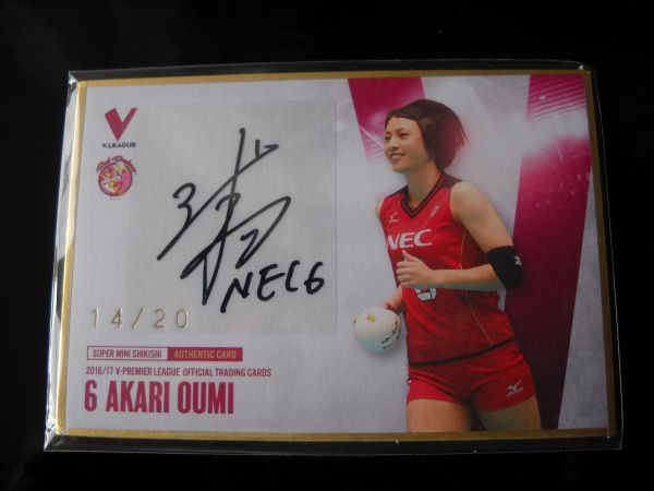 退団した女子バレーの近江あかり選手が美人すぎる 16/17 Vリーグ女子 【