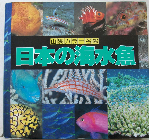b211809217.1