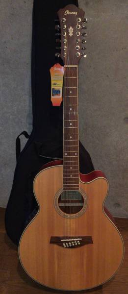 Ibanez AEL1412 ERLG 1201 12弦 エレアコ ギター ☆ ほぼ新品 
