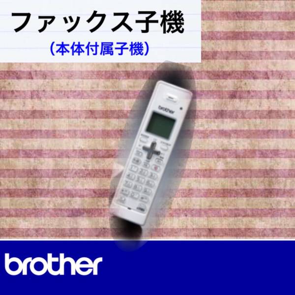 u171855661.1