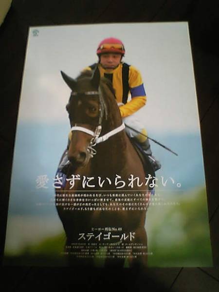 安田隆行直筆サイン色紙 トウカイテイオー 額入