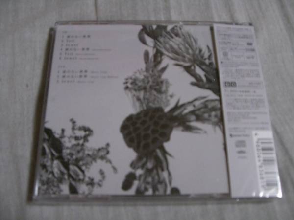 AAA / 涙のない世界 (初回盤) CD + DVD 美品_2