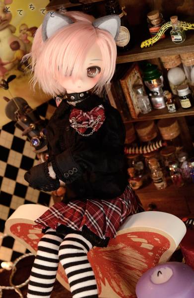 【ごんた】 DDH-01 SW肌 カスタムヘッド (アイ+ウィッグ+猫耳+尻尾) ごんた DDH-01 SW肌 カスタムヘッド+アイ+ウィッグ+ケモ耳+尻尾