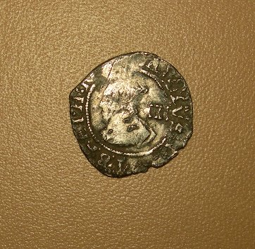 s514688337.1