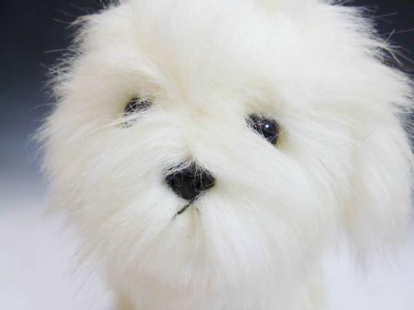 ◇昭和レトロポップ系 犬のぬいぐるみ マルチーズ? 白い子犬 お手入れ
