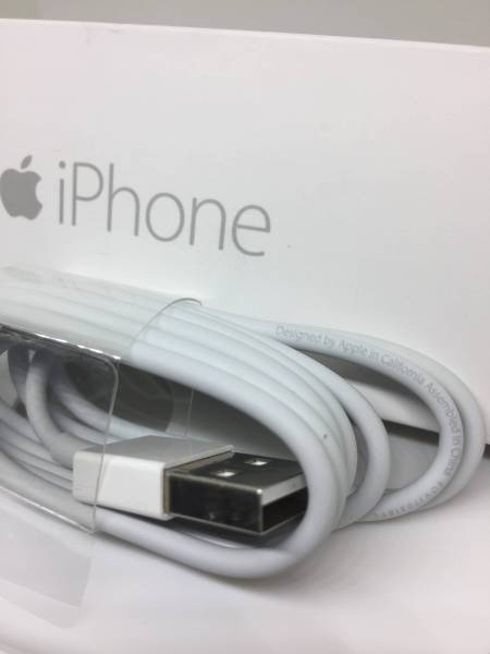 APPLE 純正 10本 1mライトニング ケーブルF02 APPLE 純正 10本 1m
