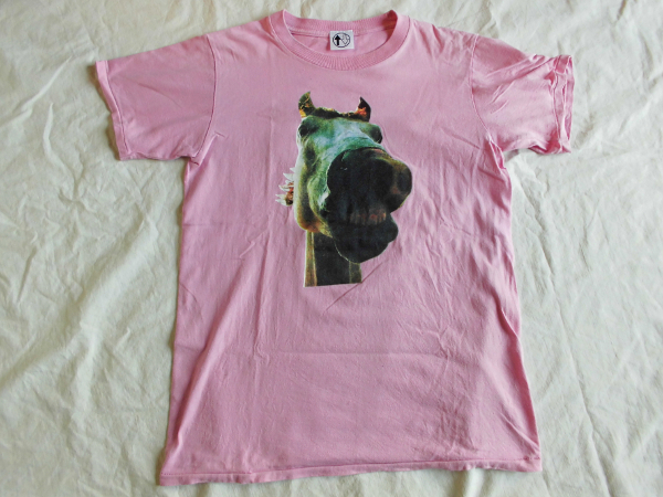 S/ザ・ハイロウズTHE HIGH-LOWS☆Tシャツ ピンク【Do!! The MUSTANG