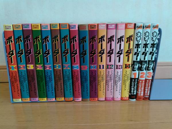 ★迷走王ボーダー全14巻 ネオボーダー全3巻 たなか亜希夫 狩撫麻礼