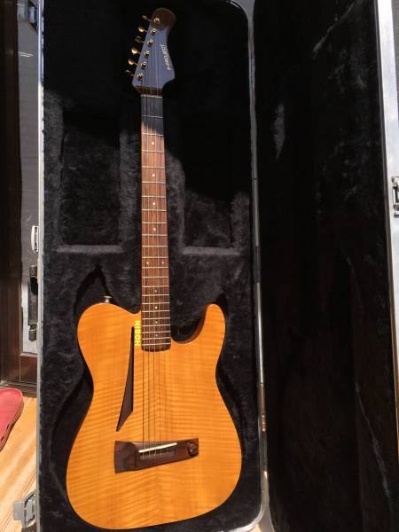 g313994449.2