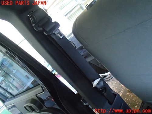 w174416271.1
