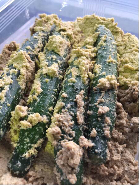 無添加 ヌカ床 （キュウリ付き）乳酸菌たっぷり キュウリ専用ヌカ床