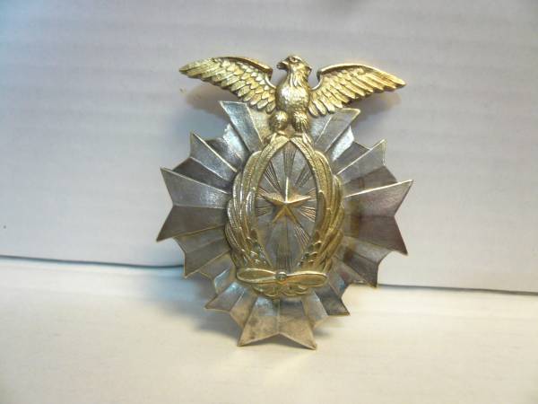 日本軍 満州派遣記念章 関東軍飛行隊戦闘隊 29.日本軍 関東軍飛行