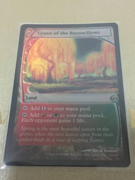 Foil 《燃え柳の木立ち/Grove of the Burnwillows(FUT)》 英 NM【MTG