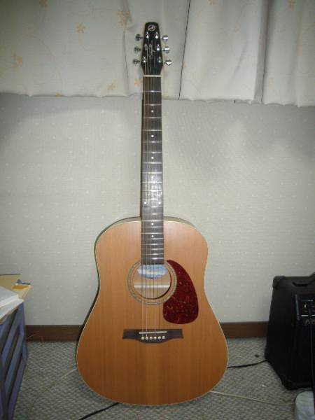 s535668617.5