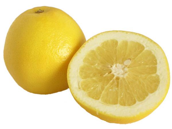 【1年間枯れ保証】グレープフルーツ/マーシュ白　15cmポット　