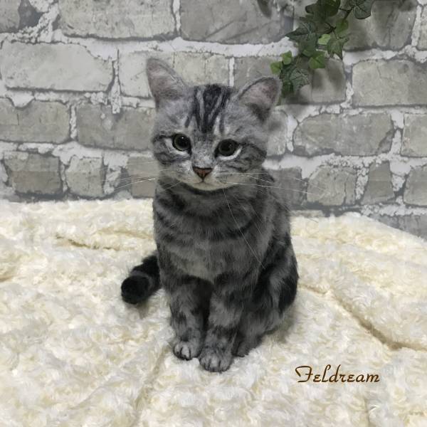 Feldream◇羊毛フェルト猫 アメリカンショートヘア お座りポーズ 高さ