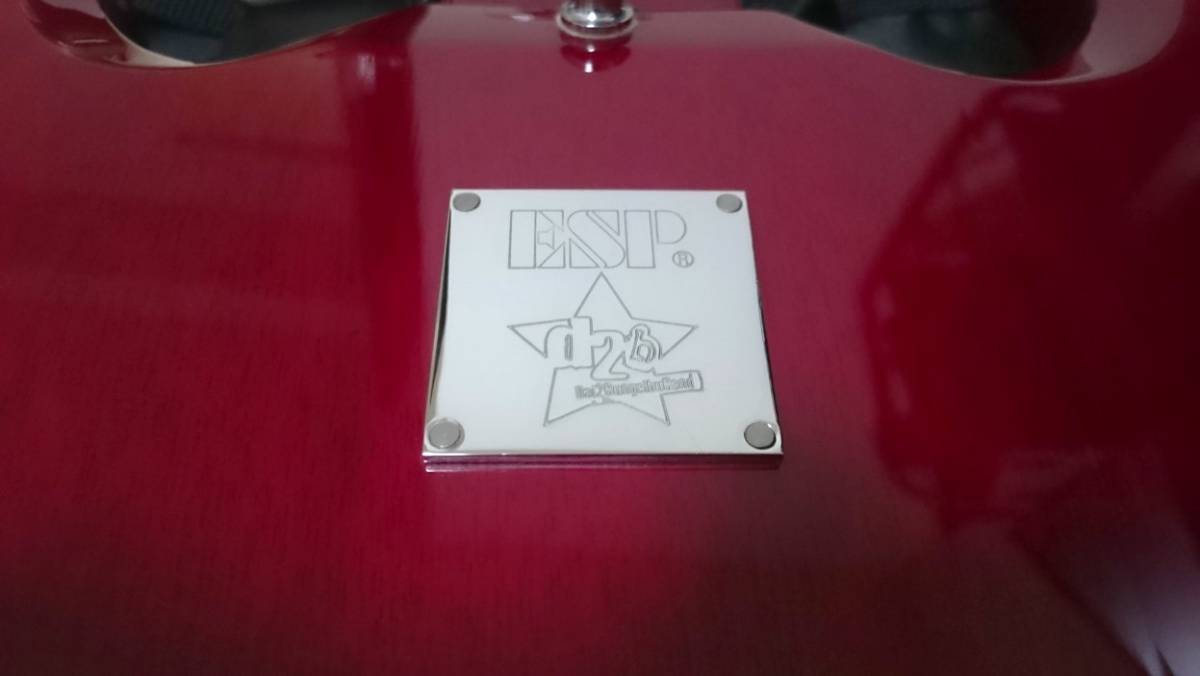 ESP×OVERDRIVE コラボギター Type SG 紗理奈モデル キラ☆キラ d2b 第 
