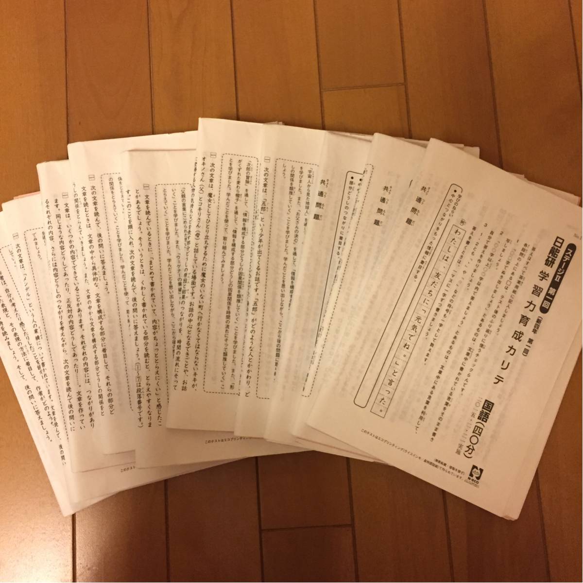 日能研5年生 知識獲得確認テスト 4教科 解答付 ステージIV 2026年度