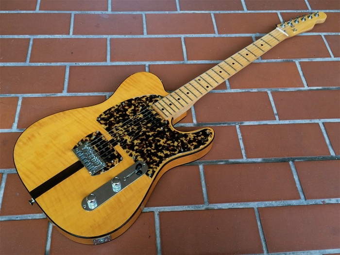 プリンス！HOHNER MAD CAT マッドキャット ( PRINCE H.S.Anderson H.S.