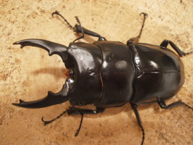 m198589342.2