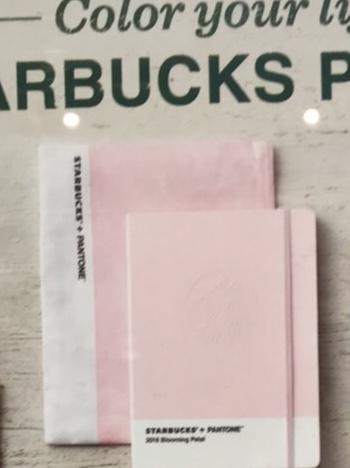 海外★スタバ★韓国★2018年ダイアリー プレナピンク★ポーチ付き
