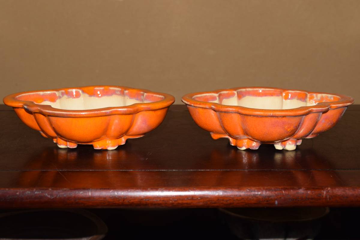 人気和鉢作家＜発色抜群・写楽・柿釉一対＞外縁木瓜鉢・二枚組・間口１９，４ｃｍ