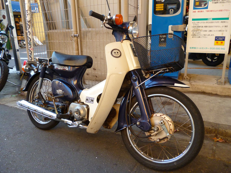 d257902931.1