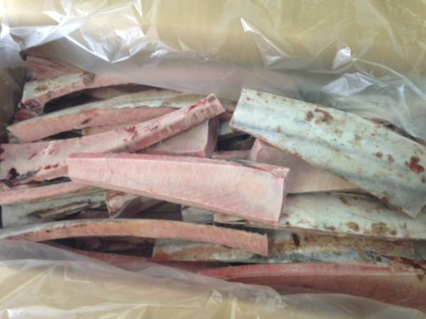 新作入荷，爆買い 西水 かつおはらも 腹身 5㎏入一箱 底魚釣り餌に(ミヤマエ)｜売買されたオークション情報、yahooの商品情報をアーカイブ公開 - オークファン 電動