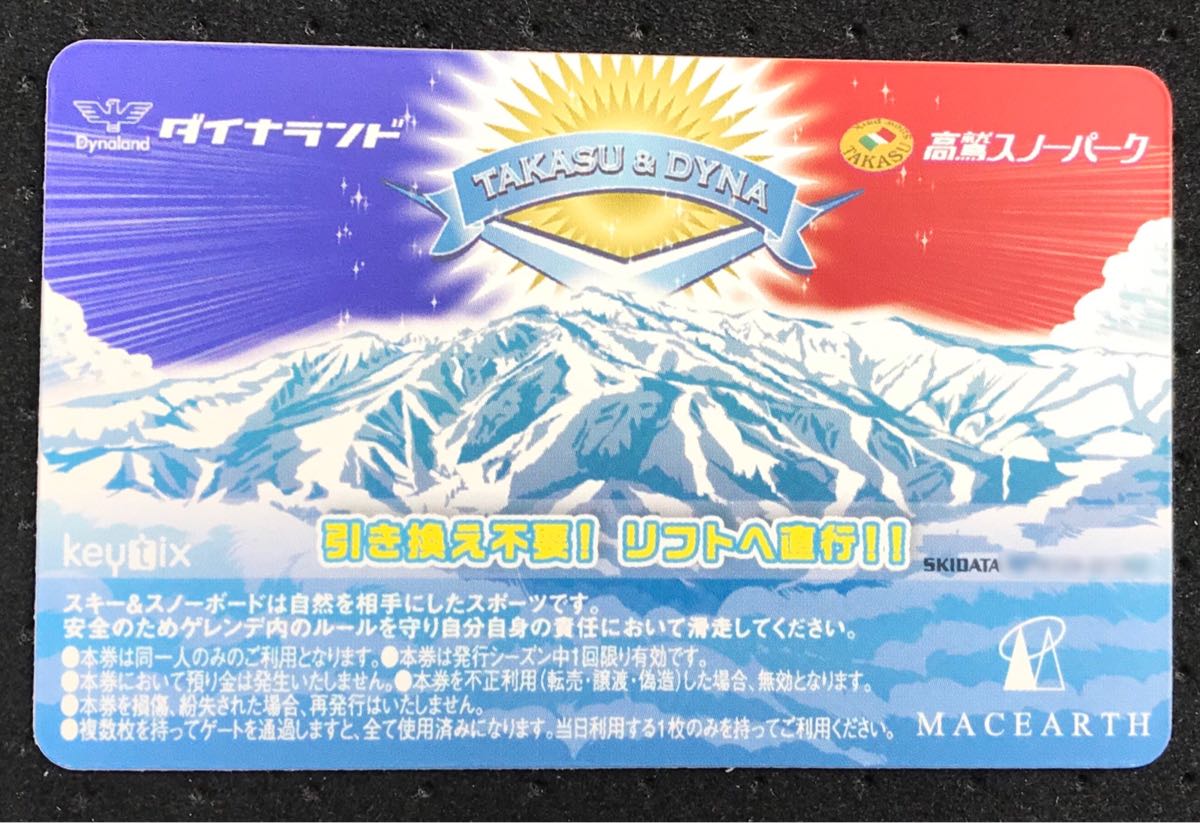 施設利用券 即日発送＊高鷲スノーパークDynaland 共通リフト券 2枚