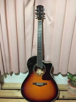 YE-50⁄N S-Yairi YE-50 エレアコ エレアコ(ソフトケース付き)