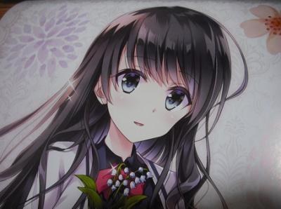 恋はそっと咲く花のように 藤堂なずな ポスター 惠坂 イラスト 鈴蘭 Pcゲーム 非売品 恋花 Ensemble アンサンブル コミック アニメグッズ 売買されたオークション情報 Yahooの商品情報をアーカイブ公開 オークファン Aucfan Com