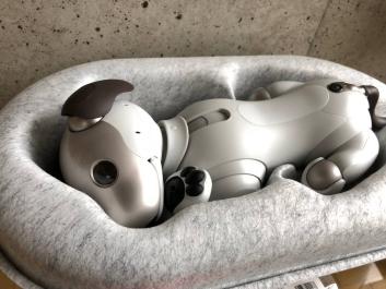 SONY 新型AIBO 3日使用新品同様 ソニー アイボ ERS-1000 aiboベーシックプラン３年＋ケアプラン3年　一括払い済み＋アイボーン