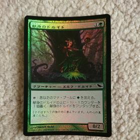 ALL100円スタート♪　献身のドルイド　foil　稀少　☆