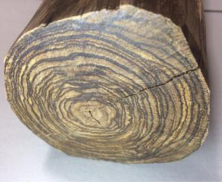 白檀 原木 649g インド産 白檀 原木 老山系 香木 古材 649g インド産 白檀